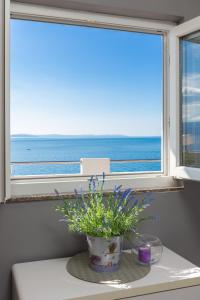 a vase with flowers on a table in front of a window at Sky Way Apartments in Dugi Rat