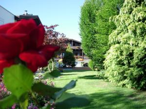 A garden outside Residence Baumgartner