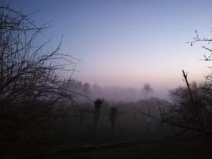 two people standing in a field in the fog at Falco Bianco in San Daniele del Friuli