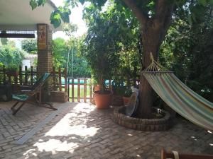 a hammock under a tree with a cat sitting in it at Dormir entre limones, Casa de invitados en vivienda familiar in Dos Hermanas