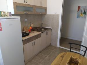 Elle comprend une petite cuisine équipée d'un évier et d'un réfrigérateur. dans l'établissement Apartman Leon Lux, à Leskovac