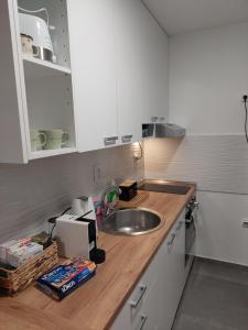 een keuken met een wastafel en een aanrecht bij Green and grey in Novi Sad