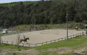 Živali poleg turistične kmetije oz. v okolici