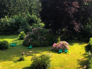 Jardí fora de Berghotel HARZ