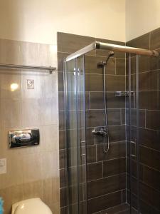 a bathroom with a glass shower with a toilet at Villa Pine Forest in Corfu Town