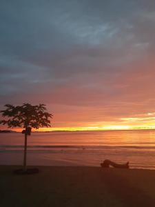 贝岛Le Moya Beach的日落时躺在海滩上的人