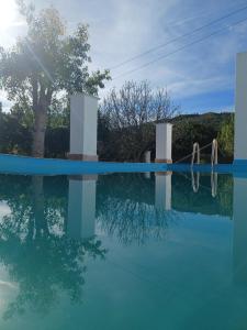 a reflection of a tree in a pool of water at Quinta da Ponte das Hortas 1 in Elvas