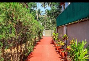 A garden outside Franria Villa Guest House