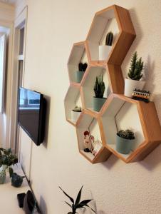 een houten plank op een muur met potplanten bij Bird's Nest Lisbon Apartment in Lissabon