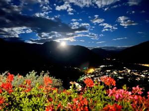 um campo de flores com o sol no céu em Alpenblick Bed & Breakfast em Vipiteno