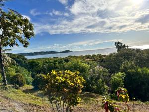 uitzicht op de oceaan vanaf een heuvel met bomen bij WINGS HOTELS in Nosy Be