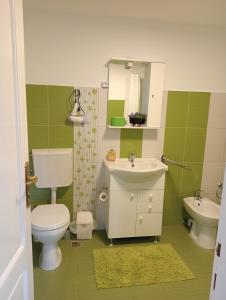 uma casa de banho verde e branca com WC e lavatório em Casa Popa em Gura Humorului