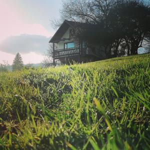 Un paisaje natural cerca del complejo de cabañas