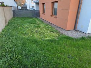 En have udenfor Apartament z ogrodem