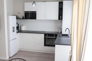 a white kitchen with a sink and a refrigerator at TEILOR Apartments 5 in Floreşti