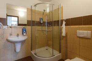 bagno con doccia e lavandino di Litvan SUNSET Apartments a České Budějovice