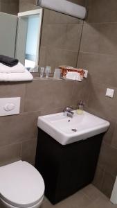 uma casa de banho com um lavatório branco e um WC. em APPART-HOTEL, Einsteinstraße em Herzogenaurach