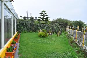 un jardín con sillas y plantas en un invernadero en Glen Premium Villa By LexStays, en Ooty