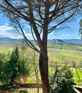 Afbeelding uit fotogalerij van Corte Di Valle in Greve in Chianti