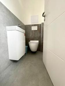 Elle comprend une petite salle de bains pourvue de toilettes. dans l'établissement Apartmán Samuel Prievidza, à Prievidza