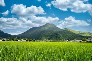 een veld van groen gras met bergen op de achtergrond bij 由布の里 旅荘 牧場の家 Ryoso Makibanoie in Yufu