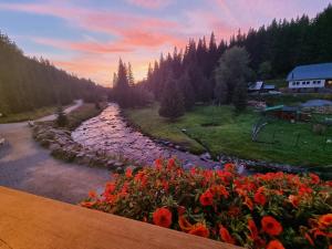 a view of a river with flowers in the foreground at Pivovar Lyer in Modrava