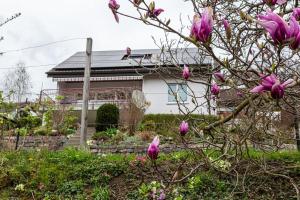 une maison avec un arbre à fleurs devant elle dans l'établissement Studio CHic, à Niederweningen