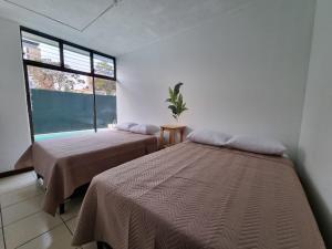 - 2 lits dans une chambre avec fenêtre dans l'établissement Central Hostel Zona 10, à Guatemala