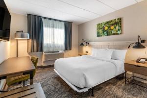 um quarto de hotel com uma cama e uma secretária em Fairfield Inn & Suites by Marriott Providence Airport Warwick em Warwick