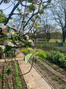 Un jardín fuera de Cascina Bellaria