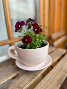 une tasse blanche avec des fleurs assises sur une table dans l'établissement Appartement Emilia, à Hallstatt