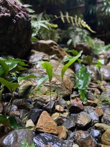 Un paisaje natural cerca de la casa de huéspedes