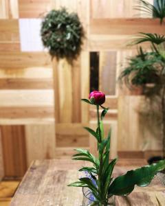 Galería fotográfica de 六根ゲストハウス Rokkon guest house en Kyoto