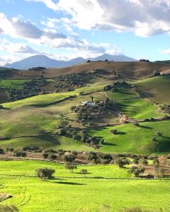 een groene grasheuvel met een huis erop bij Finca Las Campanas II in Villanueva de la Concepción