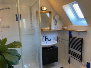 a bathroom with a sink and a shower at Rose Cottage B&B in Nes