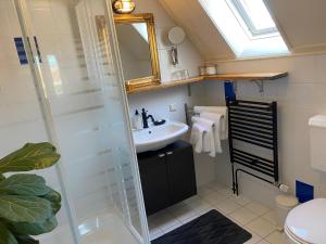 a bathroom with a sink and a shower with a mirror at Rose Cottage B&B in Nes