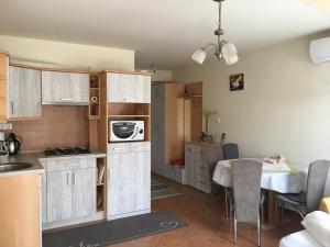 Kuhinja oz. manjša kuhinja v nastanitvi Jázmin Deluxe Apartman