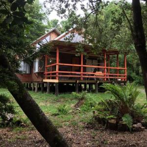 uma grande casa de madeira no meio de uma floresta em Agradable Cabaña inserta en bosque nativo em Pucón