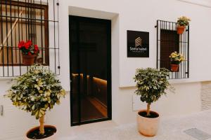 Fotografie z fotogalerie ubytování Apartamentos Santa Isabel v Murcii