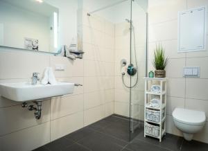 a bathroom with a shower and a sink and a toilet at Ferienwohnung Residenz Bollwark in Kappeln