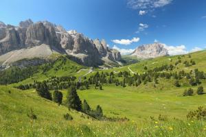 zielone pastwisko z górami w tle w obiekcie Rifugio Frara w mieście Selva di Val Gardena