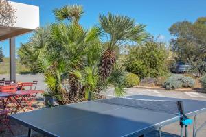 - une table de ping-pong bleue avec des palmiers derrière dans l'établissement Ibis Budget Fréjus Capitou, à Fréjus