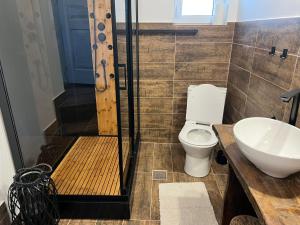 a bathroom with a shower and a toilet and a sink at Casa de vacanta traditionala romaneasca in Schiuleşti