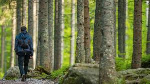 a man walking down a trail in the woods at Residence Nube D'Argento in Sestriere