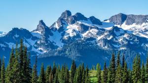 a mountain range with trees in front of it at Residence Nube D'Argento in Sestriere