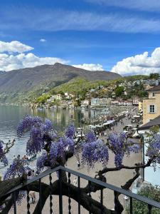 アスコナにあるAppartamento Ascona Vista Lagoの紫の花の木が水の上に植えられた町