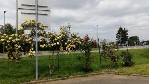 una recinzione con dei fiori accanto a una strada di N&Z HOTELS a Trappes