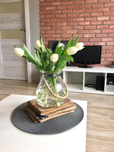 Foto da galeria de Uroczy apartament w Giżycku em Giżycko