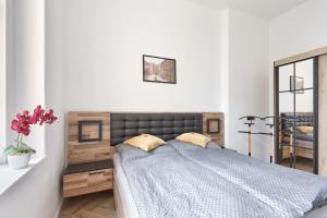 1 dormitorio con 1 cama grande y espejo en Apartment Nicol, en Karlovy Vary