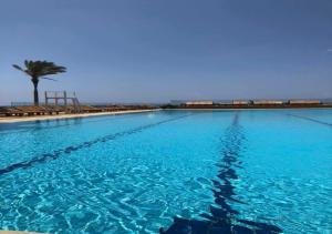 une grande piscine avec un palmier en arrière-plan dans l'établissement Castel Mare Beach Hotel & Resort, à Byblos